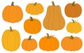 Pumpkins vector illustration. Thanksgiving Harvest